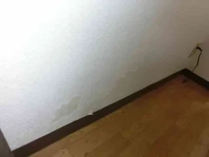 壁の広い範囲をうさぎが壁紙を噛んで破いてある状態