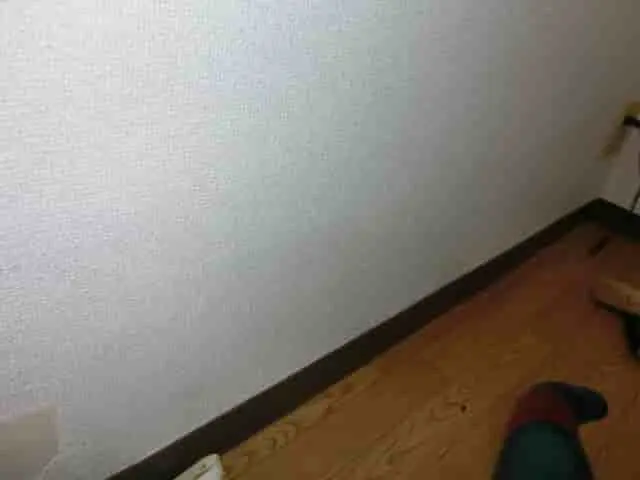 うさぎが壁紙を噛んで破いた場所を部分補修できれいにした壁
