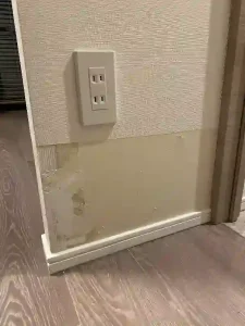 子犬にほじられた部分をお客さんがきれいに壁紙を剥がしてある