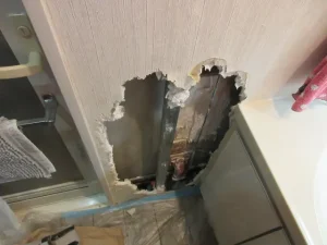犬が大穴を開けた壁の状態