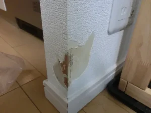 袖壁の壁紙がペットに剥がされた状態