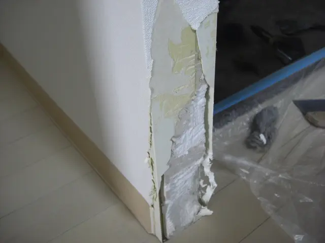 子犬に囓られ石膏ボードがえぐれ、角の建材（コーナー）もかなり破損している状態