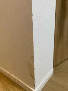 ウサギにかじられた壁の角の壁紙の状態