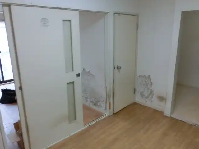 シベリアンハスキーの壁のほじりは一部屋だけじゃない様子