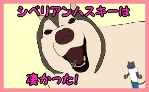 「シベリアンハスキーは凄かった！」のアイキャッチ