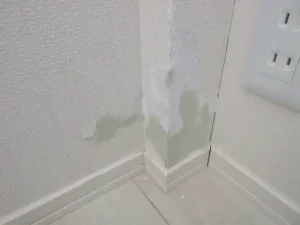 補修前の状態