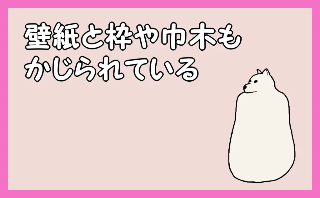 「壁紙と枠や巾木も齧られている」のアイキャッチ
