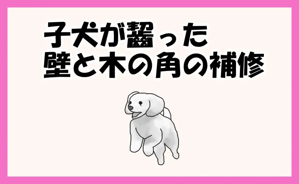 「豊島区|子犬が齧った壁と木の角の補修」のアイキャッチ画像