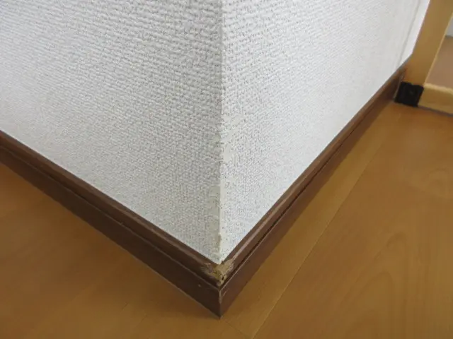 ボクが齧った木の角の様子