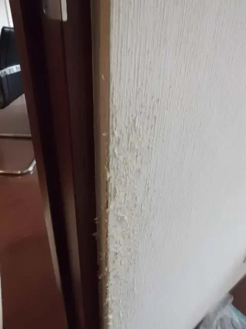 ポリバレンテがきれいにする前の爪とぎの状態