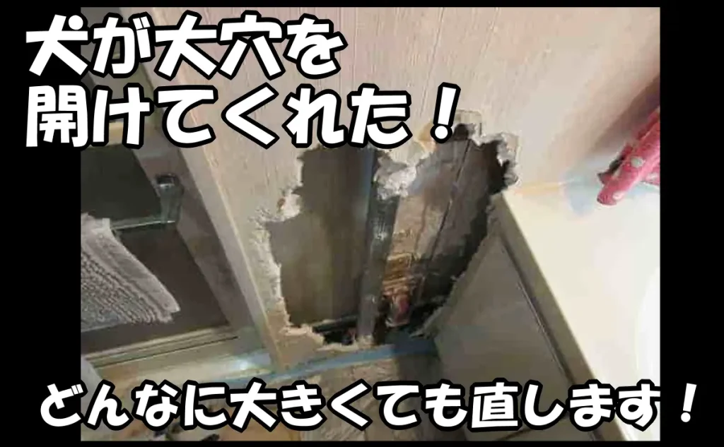 「犬が大穴を開けた壁の修理|どんなに大きくても直します!【台東区】」のアイキャッチ画像