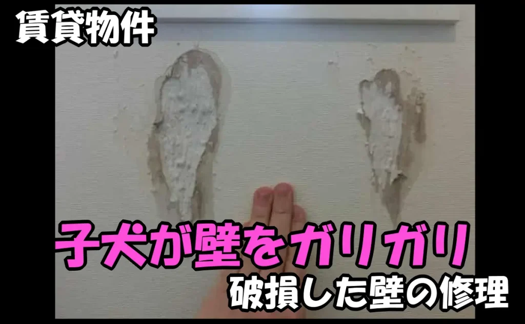 「子犬が賃貸物件の壁をガリガリして破損した壁の修理【世田谷区】」のアイキャッチ画像