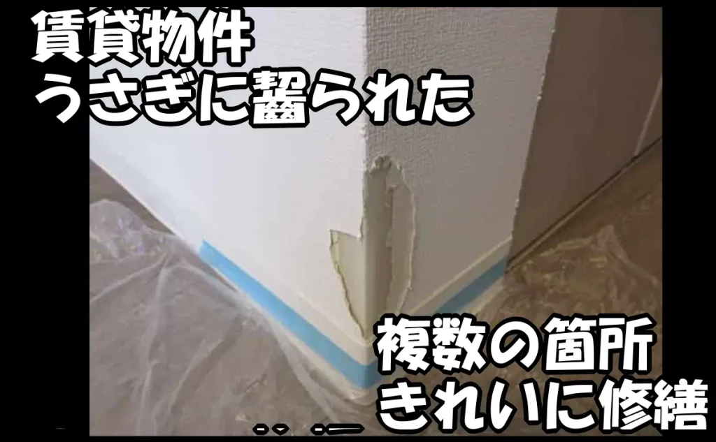 「賃貸物件でうさぎに齧られた複数の箇所をきれいに修繕【市川市】」のアイキャッチ画像