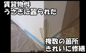 「賃貸物件でうさぎに齧られた複数の箇所をきれいに修繕【市川市】」のアイキャッチ