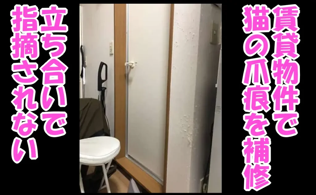 「賃貸物件で猫の爪痕と壁穴を補修して立ち合いで指摘されない【中野区】」のアイキャッチ画像
