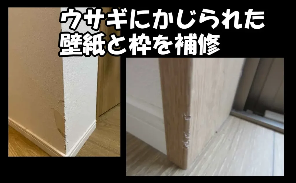 「賃貸物件でウサギにかじられた壁紙と枠を補修【新宿区】」のアイキャッチ画像