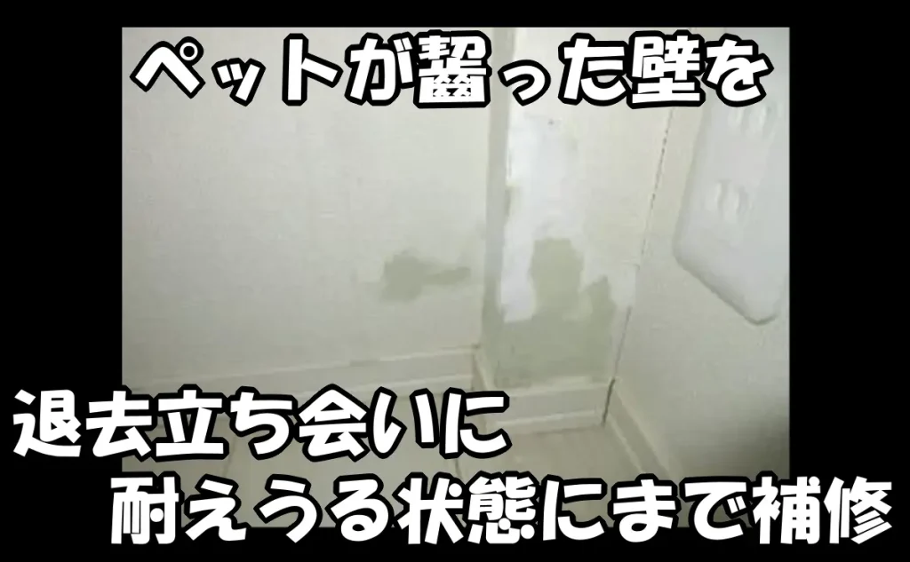 「ペットが齧った壁を退去立ち会いに耐えうる状態にまで補修【品川区】」のアイキャッチ画像