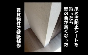 「爪とぎ防止シートを取ったら壁の色が薄くなった|賃貸物件で壁紙補修【千葉市】」のアイキャッチ画像