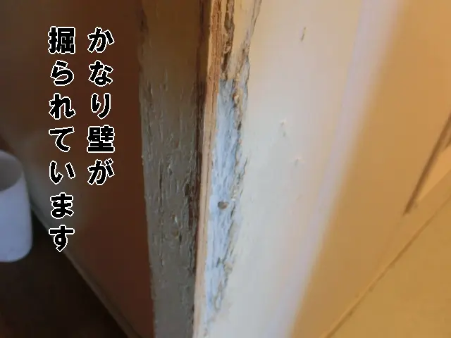 賃貸物件で、袖壁の角が猫の爪研ぎで下地（石膏ボード）が深くえぐれている状態