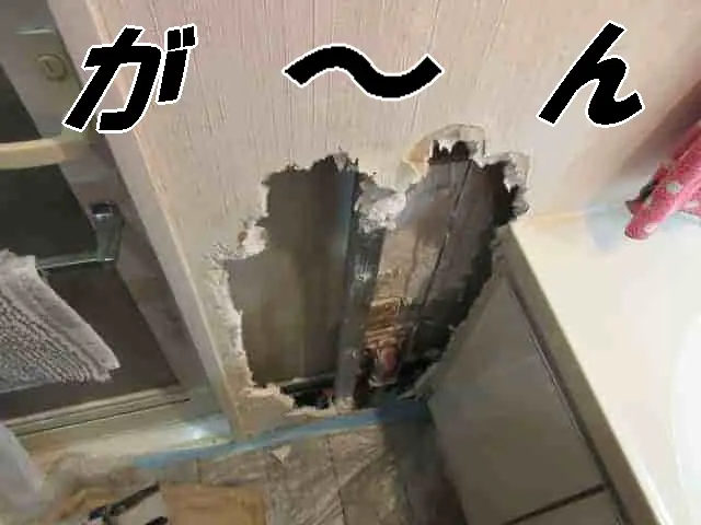 犬が大穴を開けた壁の状態
