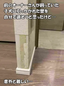 前のオーナーさんが飼っていた子犬に引っかかれていた袖壁