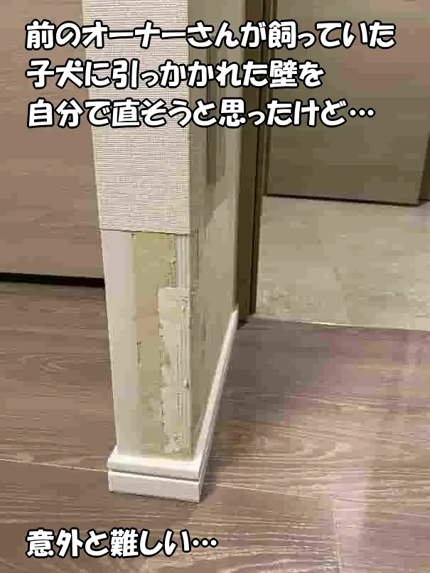 前のオーナーさんが飼っていた子犬に引っかかれていた袖壁