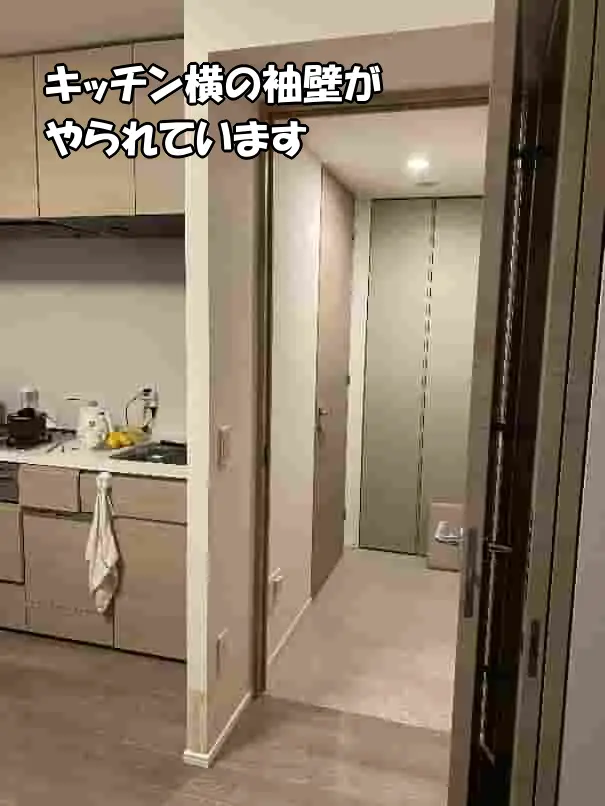 キッチン横の袖壁の下部が子犬にほじられいる状態