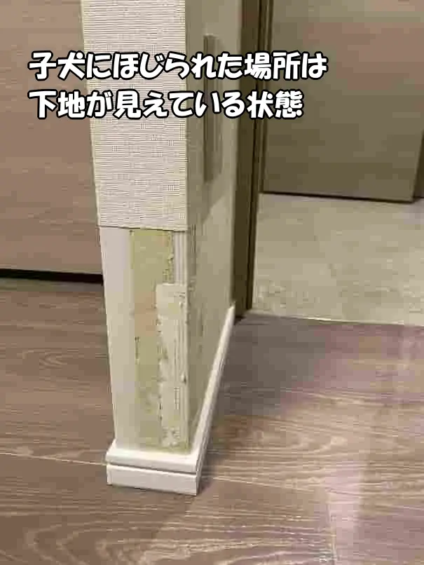 近くから見た、子犬にほじられた袖壁の状態