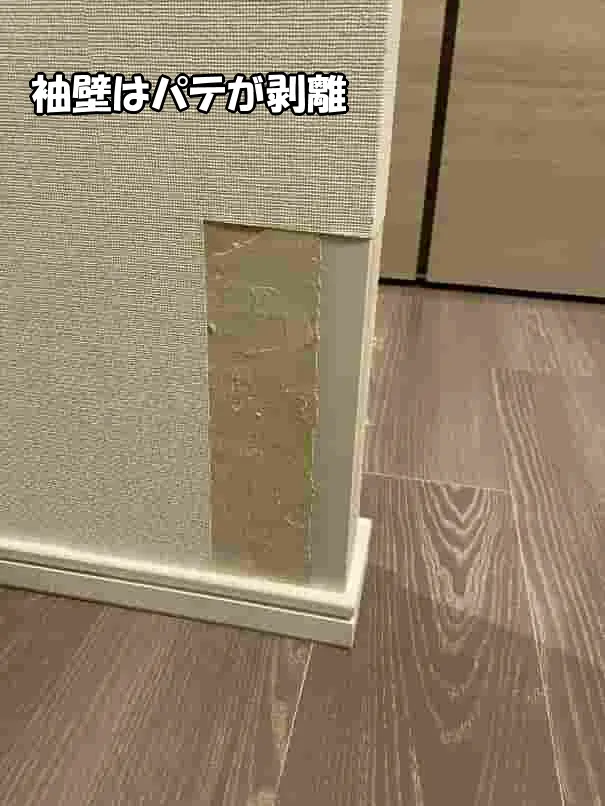 子犬にほじられた袖壁はパテが剥離している