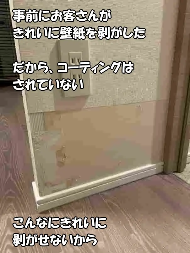 子犬にほじられた部分をお客さんがきれいに壁紙を剥がしてある