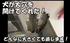 「犬が大穴を開けた壁の修理｜どんなに大きくても直します！【台東区】」のアイキャッチ画像