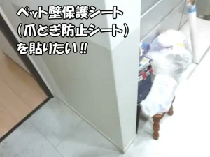 「ペット壁保護シート」を貼った袖壁