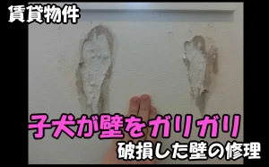 「子犬が賃貸物件の壁をガリガリして破損した壁の修理【世田谷区】」のアイキャッチ画像