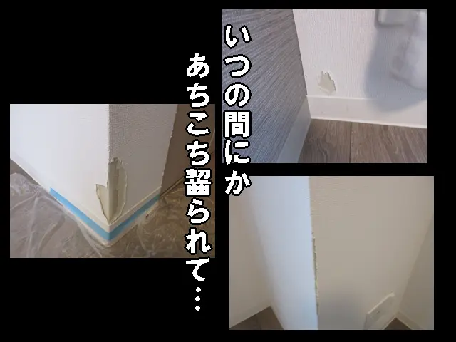 いつの間にか、うさぎにあちこちかじられてしまった壁紙たち