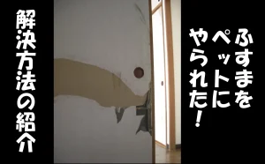 「ふすまをペットにやられた!解決方法の紹介【江東区】」のアイキャッチ画像