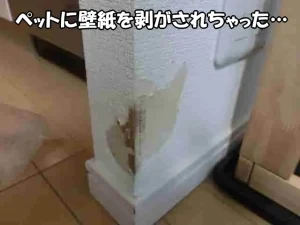 ペットに壁紙を剥がされてしまった袖壁