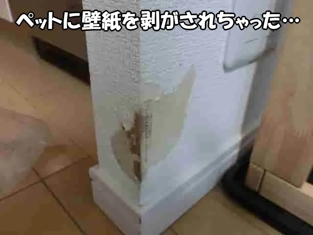 ペットに壁紙を剥がされてしまった袖壁