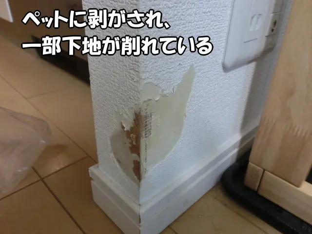 賃貸物件で袖壁の壁紙がペットに剥がされた状態