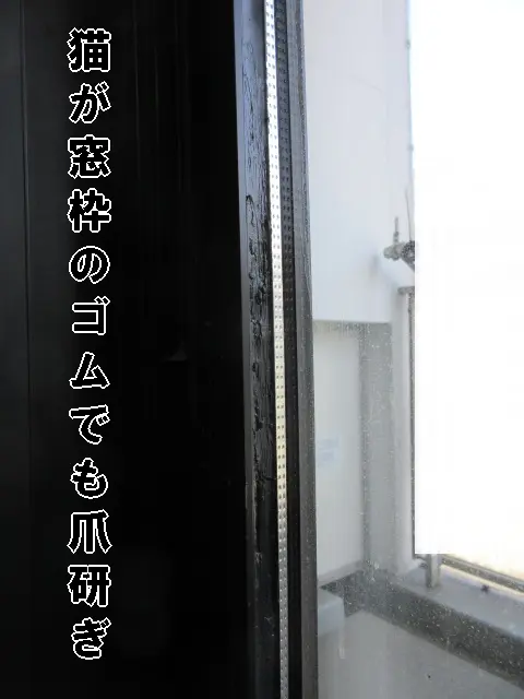 賃貸物件で、猫に爪研ぎをされて傷が付いたり、えぐれてしまった窓枠のゴム(シール)の状態