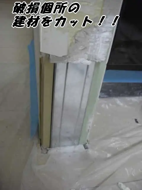 囓られてえぐれた石膏ボードを取り除いた状態