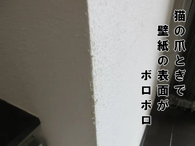 賃貸物件で、猫に爪研ぎをされ、壁紙の表面がボロボロになった壁の状態