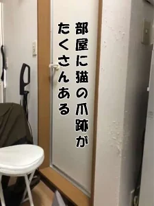 賃貸物件で、壁の角を中心に猫の爪の傷跡がたくさん付いている状態