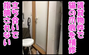 「賃貸物件で猫の爪痕と壁穴を補修して立ち合いで指摘されない【中野区】」のアイキャッチ画像