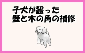 「子犬が齧って剝がした壁紙とガジガジした木の角を補修した物語【豊島区】」のアイキャッチ画像