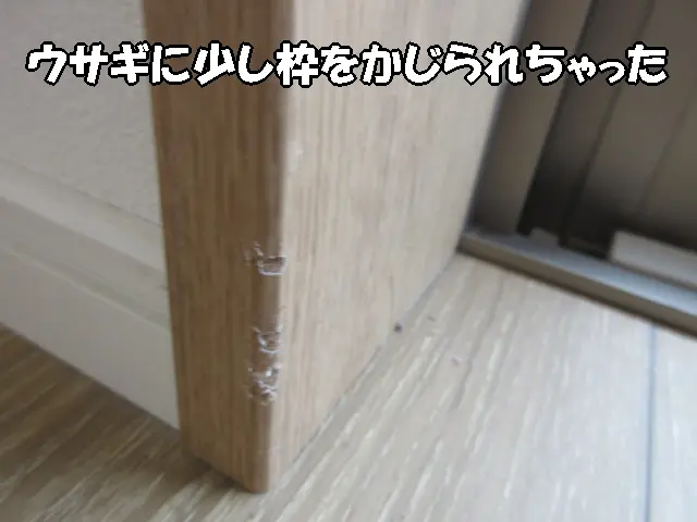 ウサギに少しかじられた枠の状態
