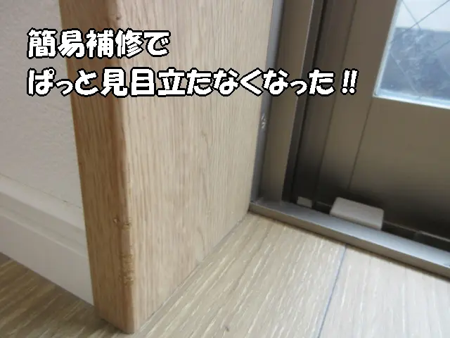 ウサギにかじられた枠を簡易補修でぱっと見は分らなくした状態