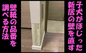 「子犬がほじった新居の壁を直す|壁紙の品番を調べる方法【港区】」のアイキャッチ画像