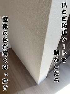 爪とぎ防止シートを外したら壁紙の色が薄くなり境目がわかる様子