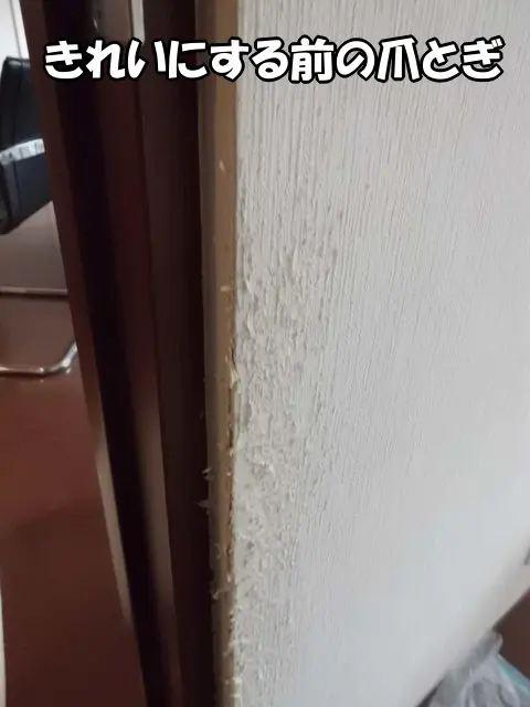 ポリバレンテがきれいにする前の爪とぎの状態